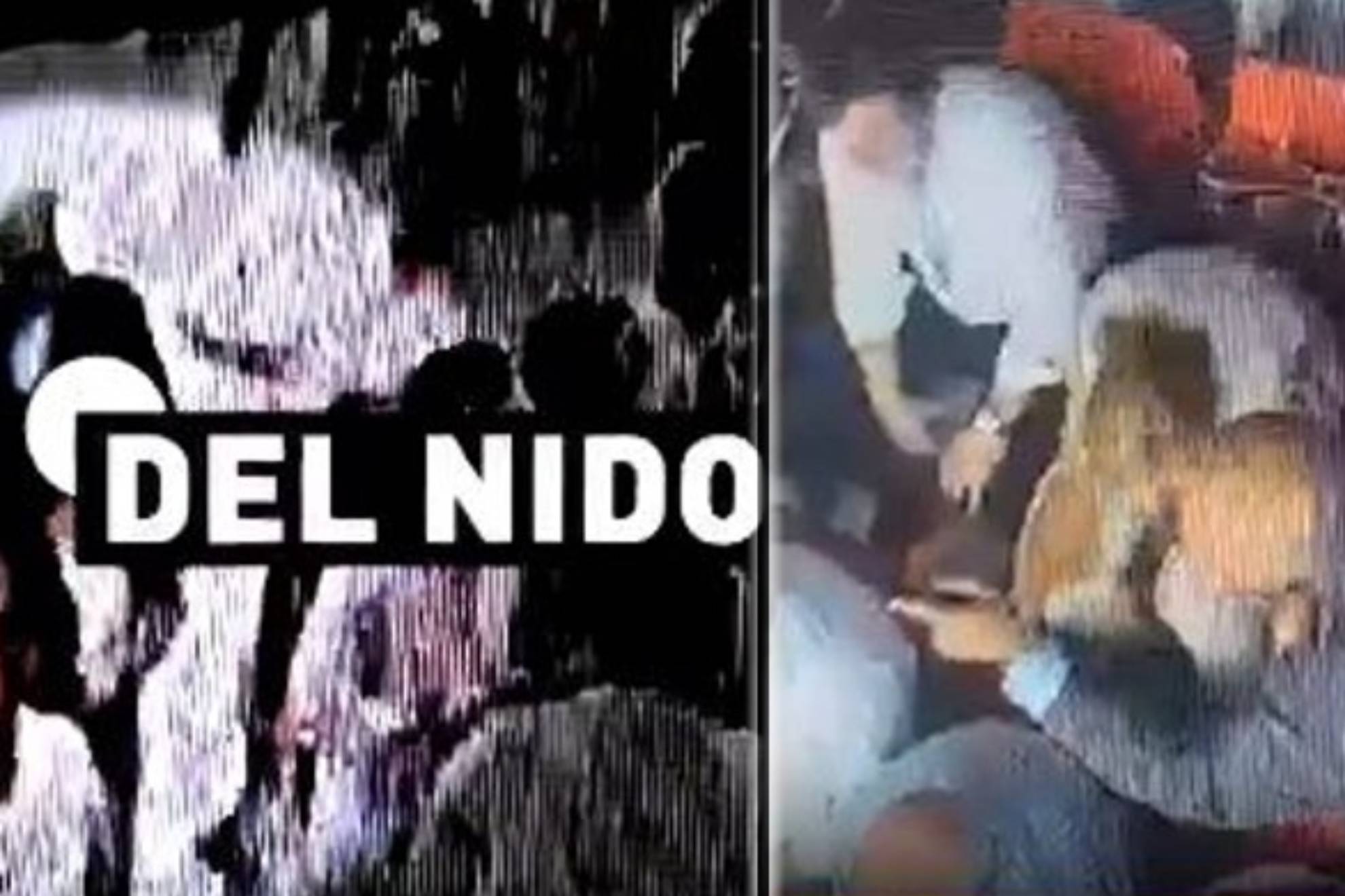 赛的成绩 赛的成绩