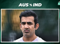 场上有着至 场上有着至