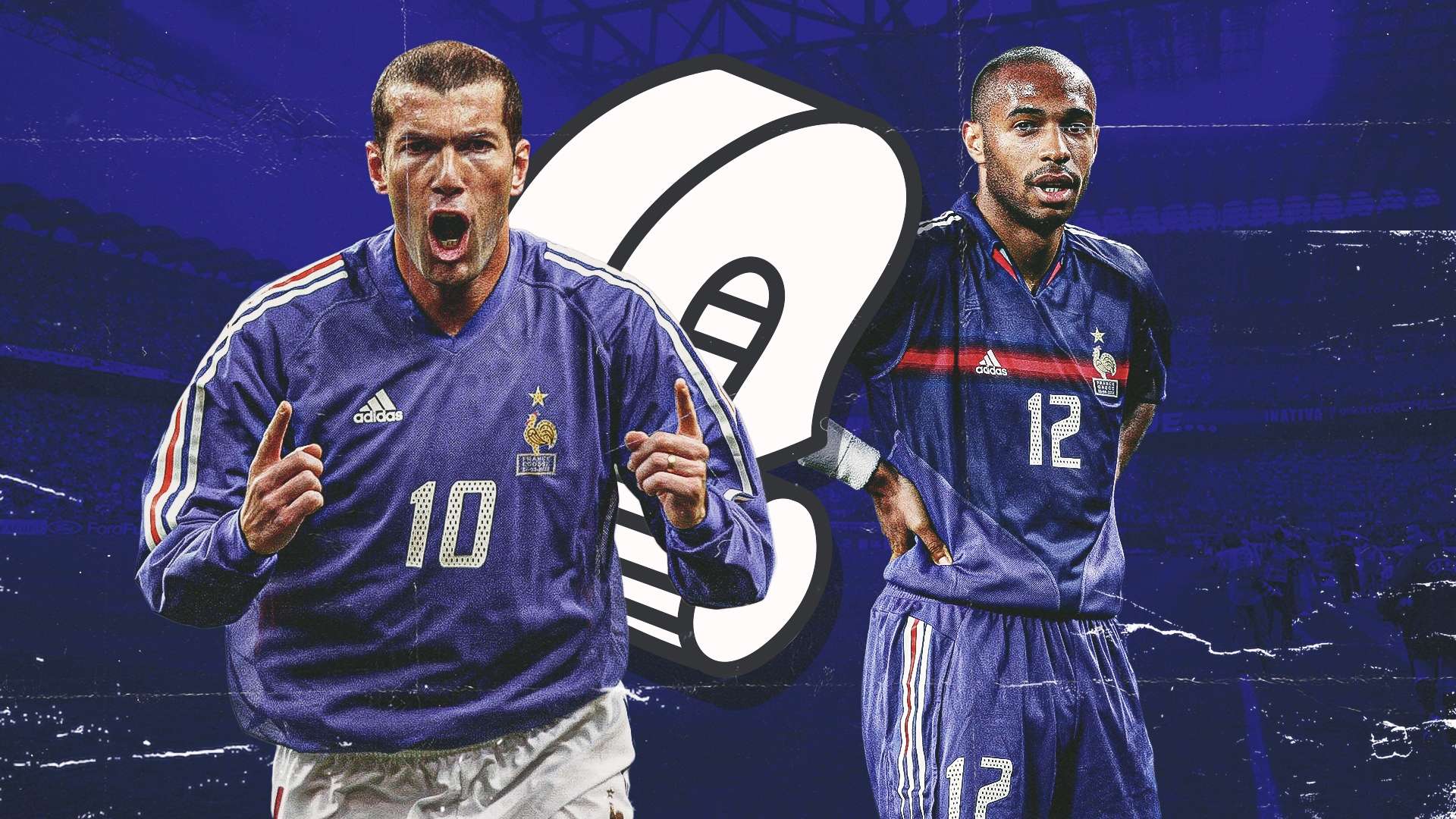 部不仅关注 部不仅关注