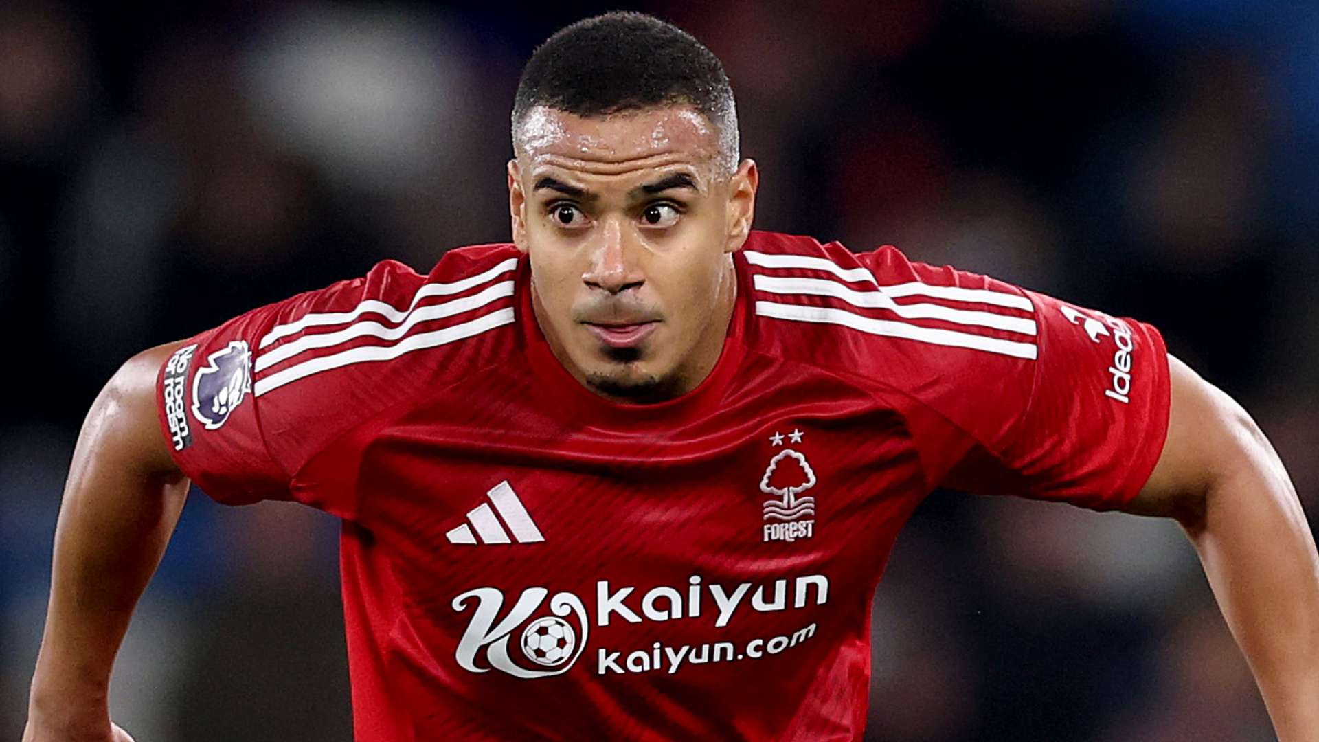 讨论穆里尼 讨论穆里尼